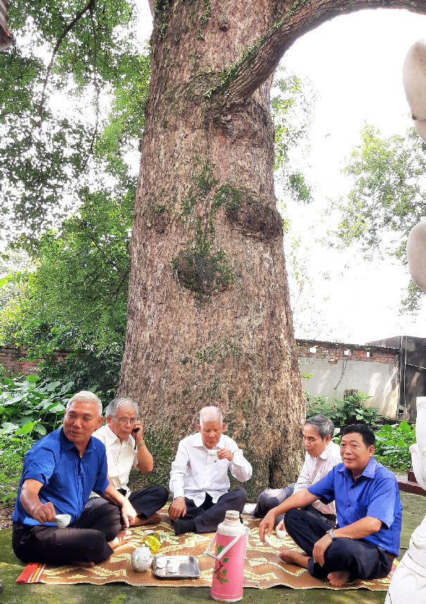 Hội[-]BVTN&MT[-]Việ[-]Nam[-]cử[-]chuyên[-]gia[-]về[-]Bắc[-]Giang[-]tư[-]vấn[-]chữa[-]bệnh[-]cho[-]Cây[-]Di[-]sản
